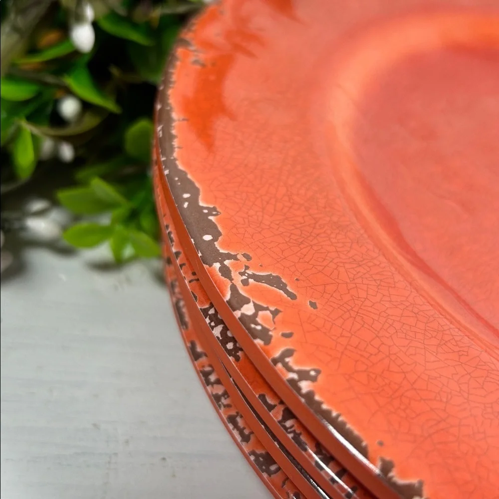 Gianna’s Home Plates Melamine Rustic Orange Plate Set Farmhouse Orange Plates